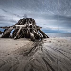 Ceramic tile mural of Driftwood on Moody Beach