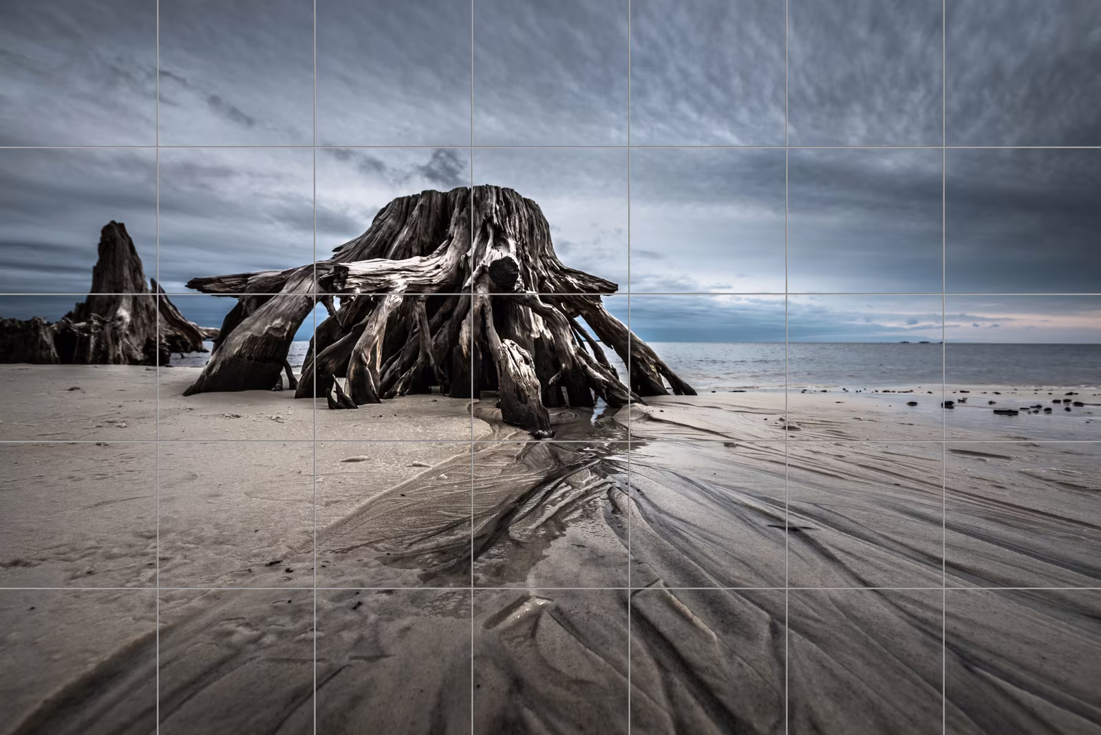 Ceramic tile mural of Driftwood on Moody Beach