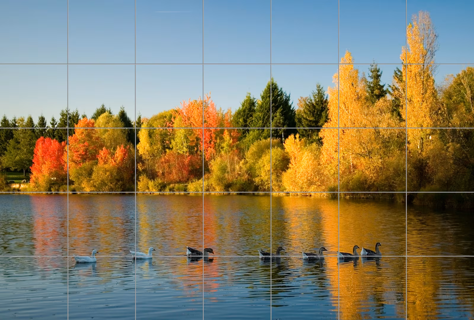 Autumn Lake Reflections tile mural