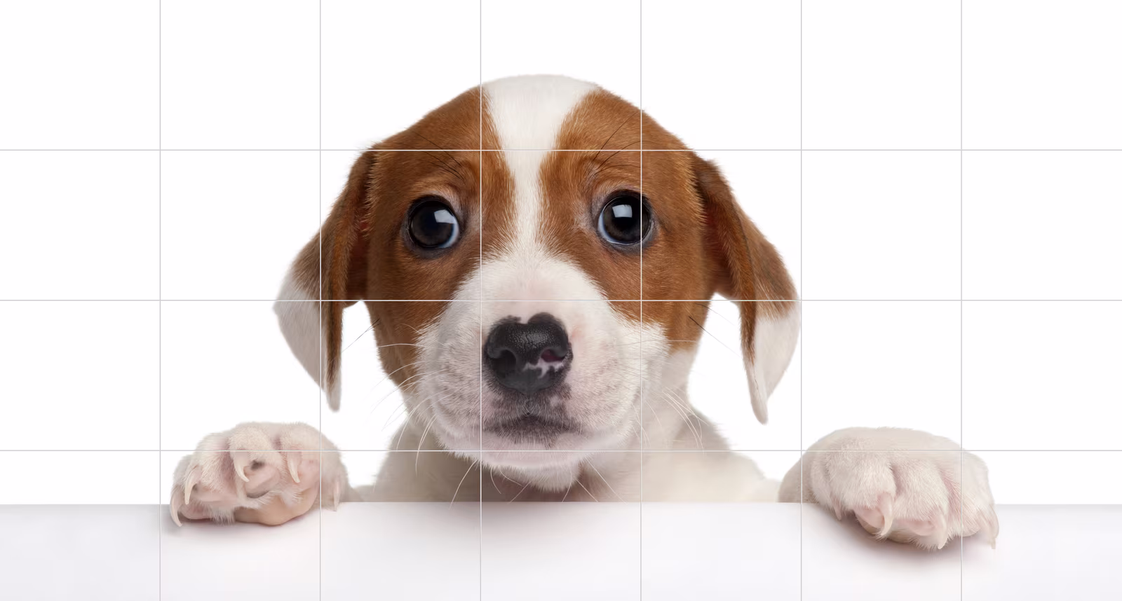 Ceramic tile mural of Curious Puppy Peeking Over Ledge