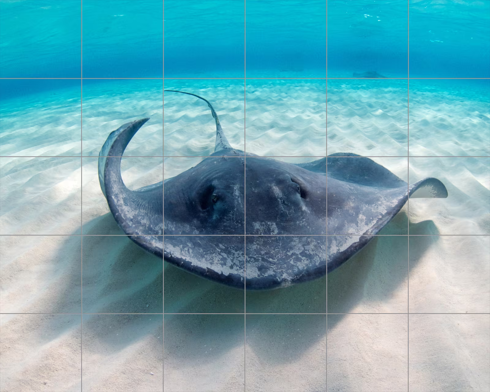 Ceramic tile mural of Stingray Gliding Over Sand