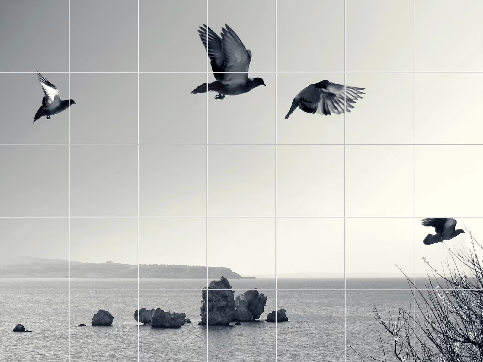 Ceramic tile mural of Birds Over Coastal Rocks