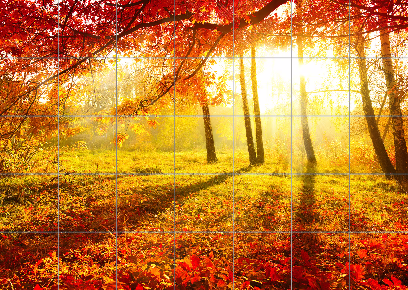 Ceramic tile mural of Sunlit Red Autumn Forest