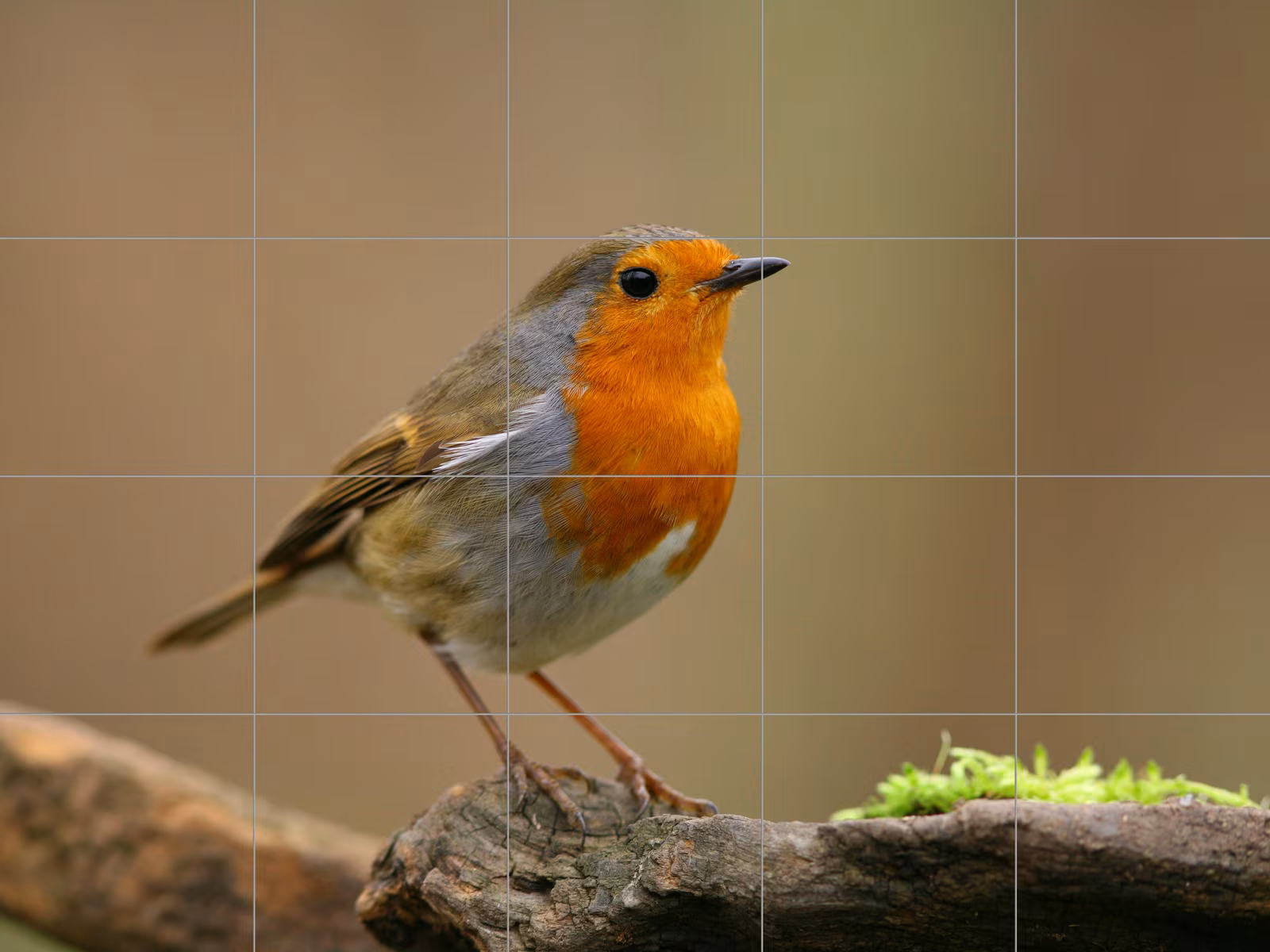 Ceramic tile mural of Robin Redbreast on Branch