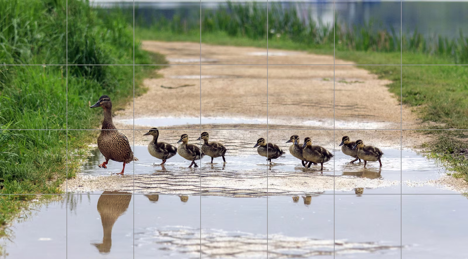 Ceramic tile mural of Duck Family Crossing Path