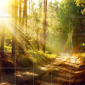 Sunbeams on Forest Path tile mural
