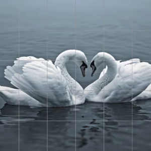 Ceramic tile mural of Swans Forming Heart Shape