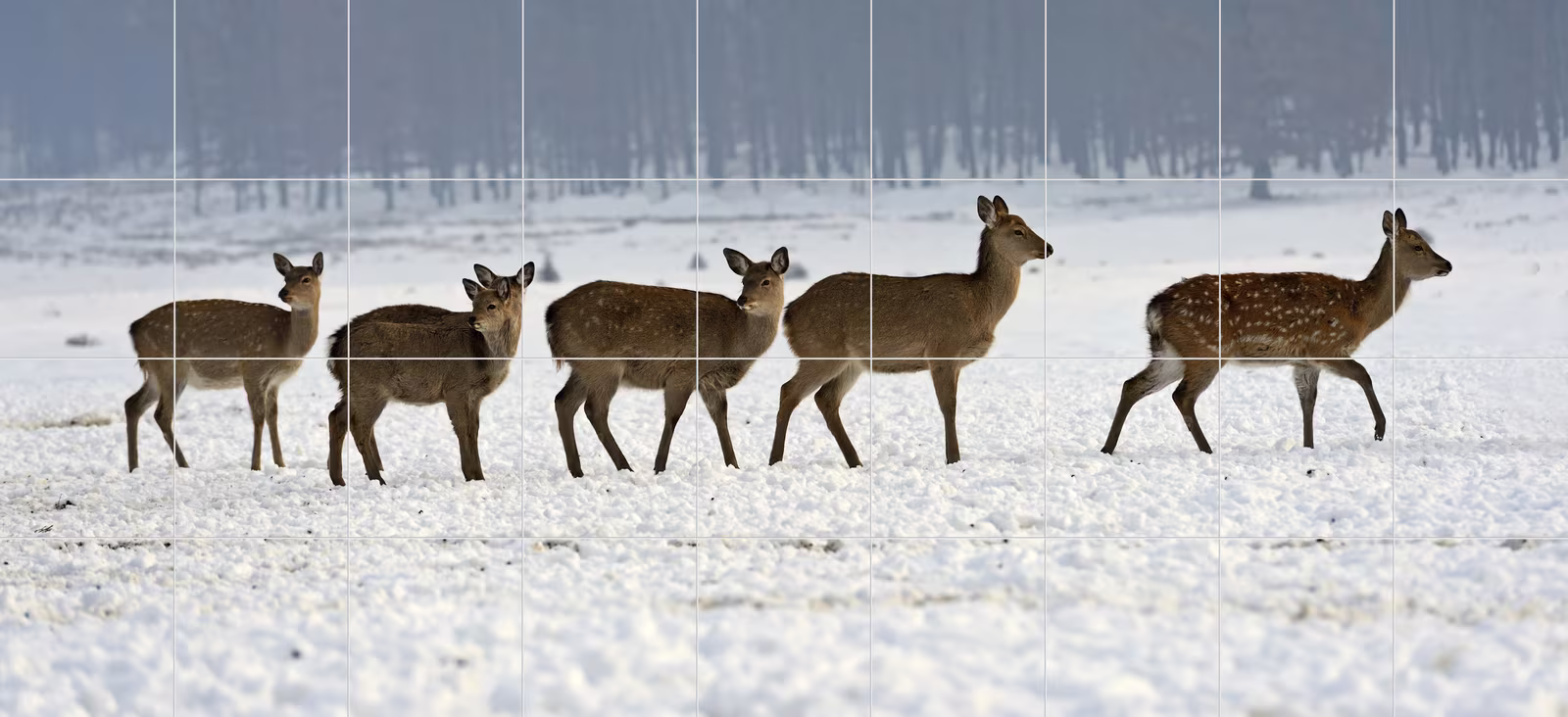 Ceramic tile mural of Deer Herd Walking in Snow