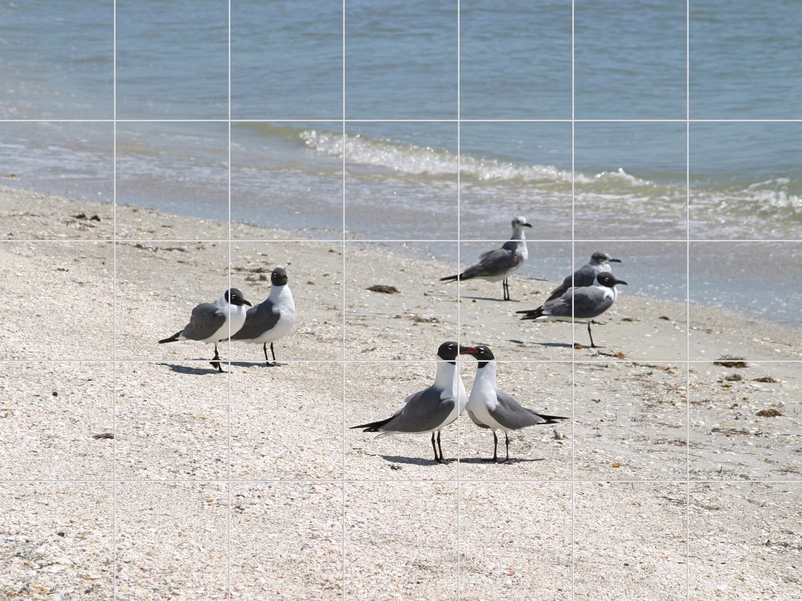 Ceramic tile mural of Terns on Sandy Beach