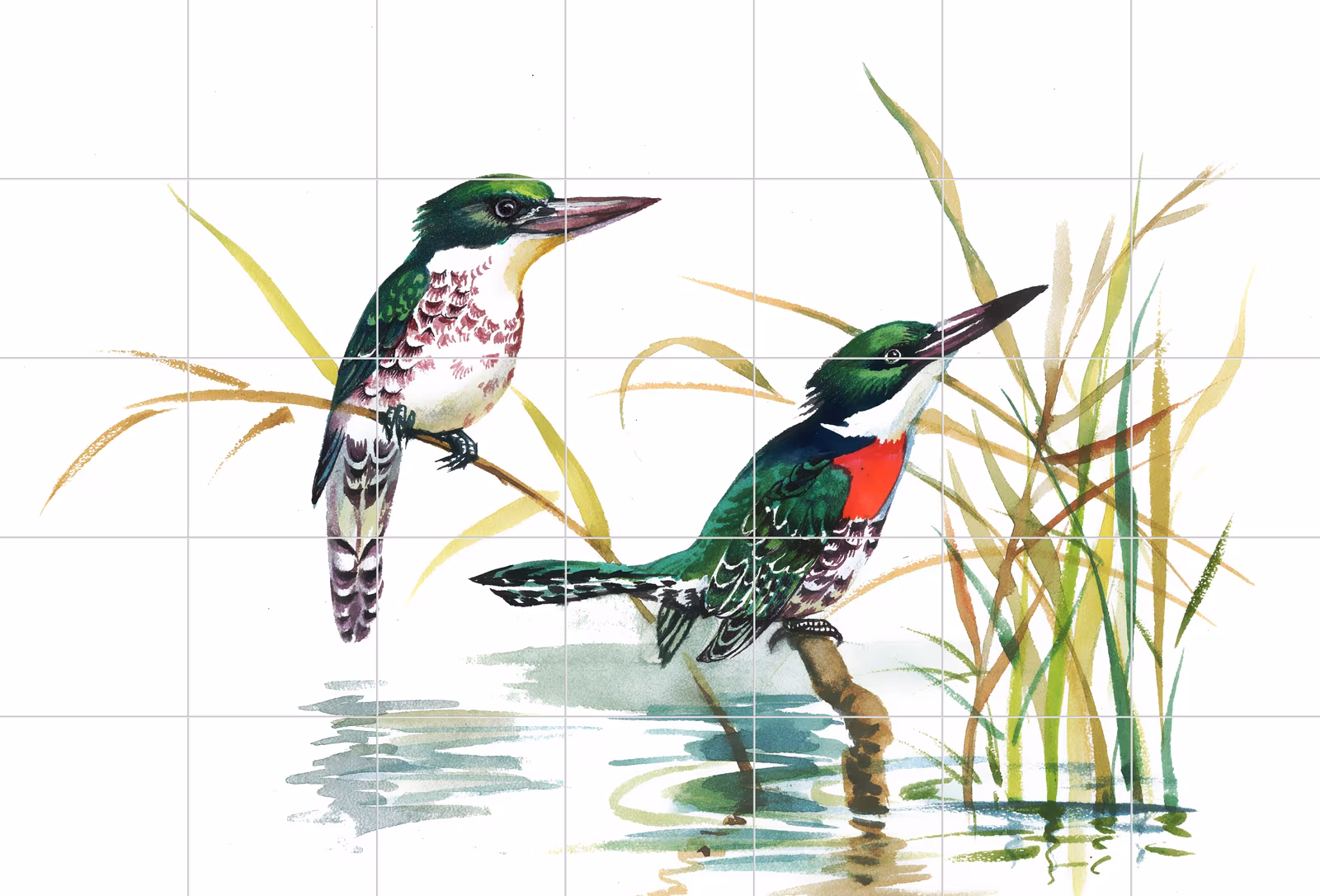 Ceramic tile mural of Kingfishers in Reeds Illustration