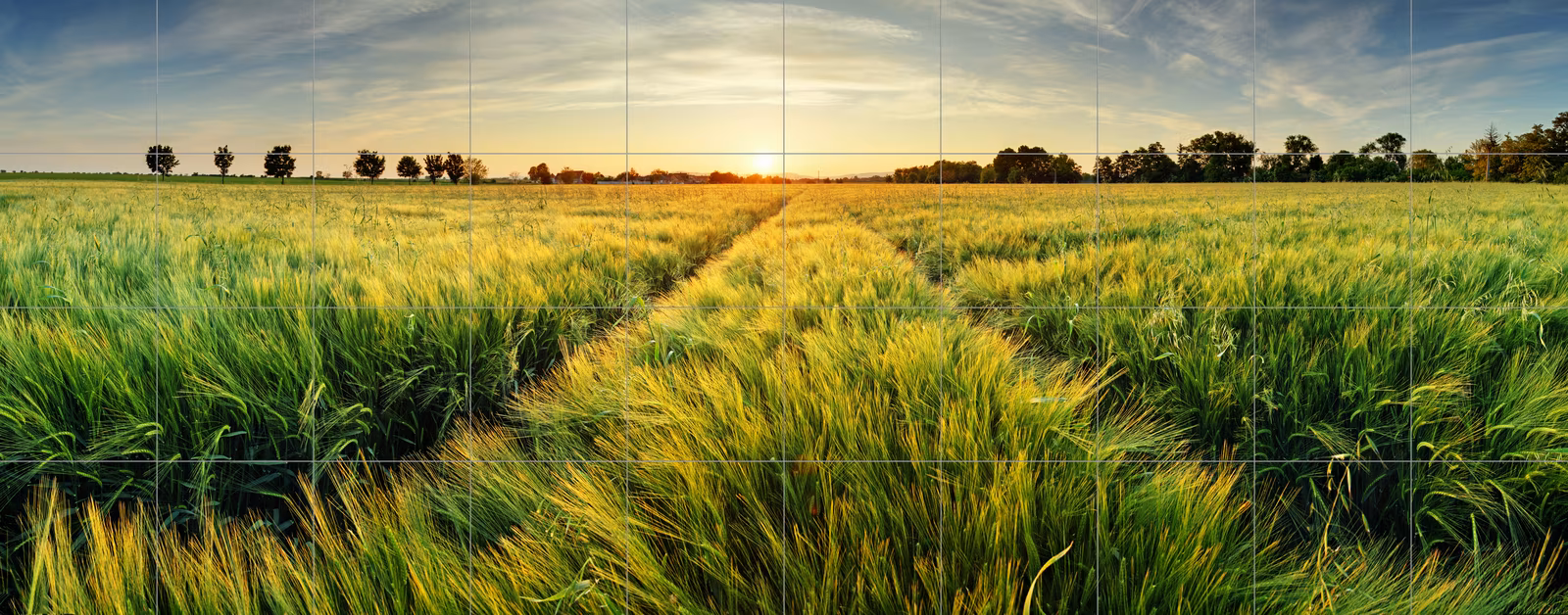 Ceramic tile mural of Green Field Path at Sunset