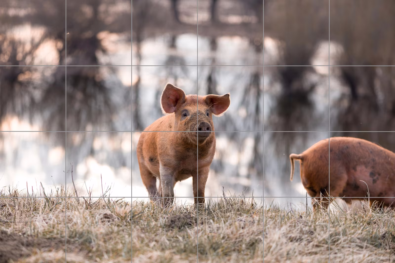 Ceramic tile mural of Piglets in the Frosty Field
