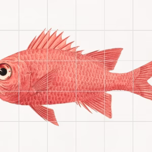 Ceramic tile mural of Unidentified Fish by Luigi Balugani