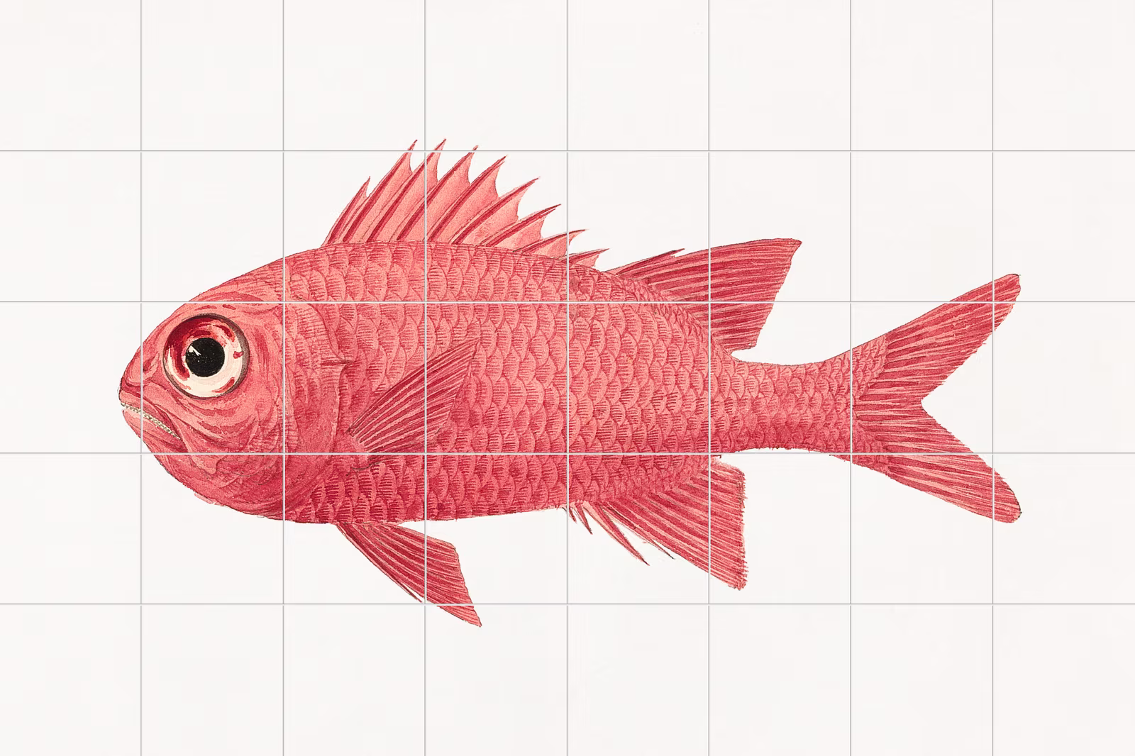 Ceramic tile mural of Unidentified Fish by Luigi Balugani